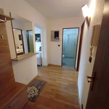 Wenger 巴特霍夫加施泰因