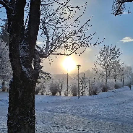 Wenger